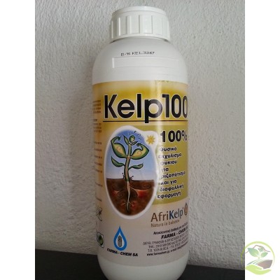 Kelp-100